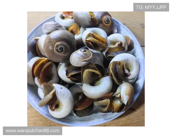 波胆奖金计算器避坑指南极速提现不踩雷