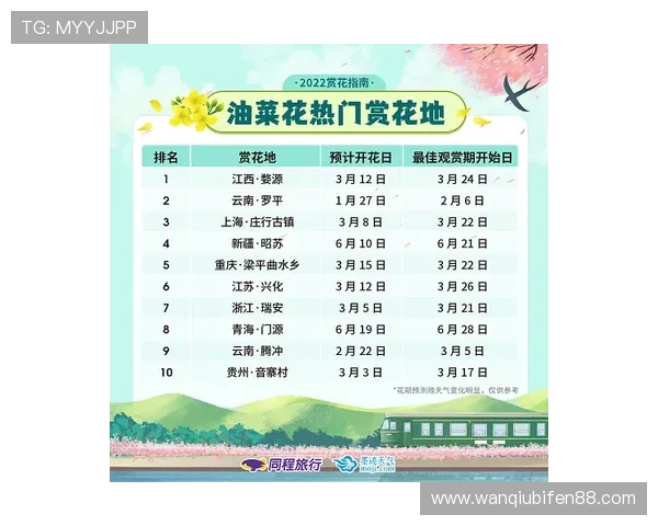正反波胆的区别避坑指南 泛体育平台防骗对比